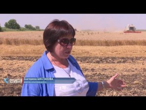 Специальный репортаж 26.07.2021 - Багаевский район