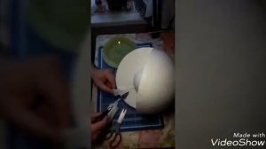 Макет Земли в школу.