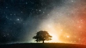 Не грусти, не сожалей — не надо. Позвони и просто позови.