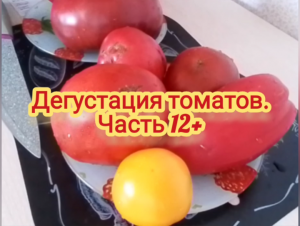 Дегустация томатов. Часть 12+.