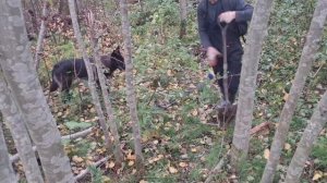 Я ЭТО СДЕЛАЛ!ЭТО МЕСТО 3 ГОДА НЕ ДАВАЛО МНЕ ПОКОЯ! Пробираюсь к предположительному тракторному стан