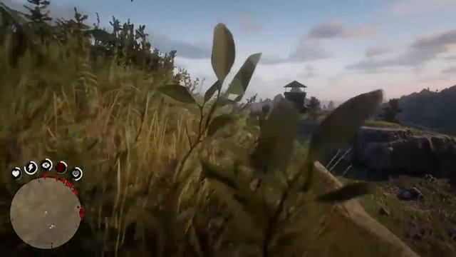 Вестерн смотреть онлайн