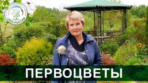 Эти весенние первоцветы преобразят ваш сад. Часть 2.