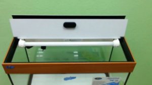 Биодизайн РИФ 110