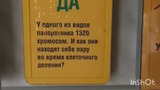 Экскурсия по Москве Дарвиновский музей часть 4 продолжение. 2021 год. смотреть онлайн
