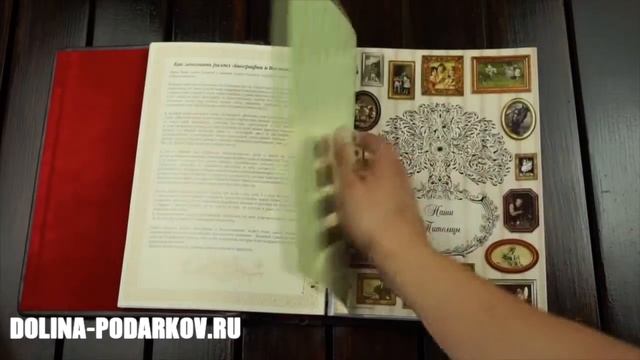 Большая семейная книга-альбом (коричневая кожа) смотреть онлайн