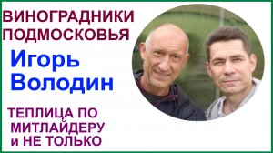 Виноградник Игоря Володина д.Кибирёво Петушинский р-н Владимирская обл