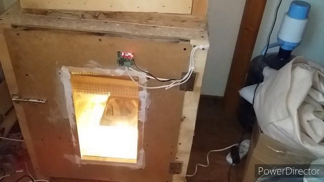 Вывод Цыплят в Самодельном Инкубаторе// Домашние цыплята/ Подстилка для Цыплят/Брудер смотреть онлайн