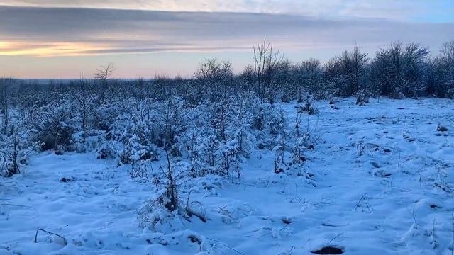 Новодмитриевская: лучшая станица в пригороде Краснодара!