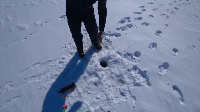 Рыбалка на плато ПУТОРАН/поймали гольца и налима/квадроцикл СОКОЛ смотреть онлайн