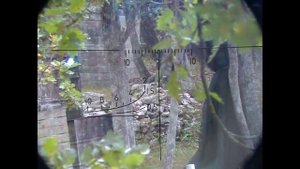 N29 SVD Airsoft Dragunov Sniper Rifle \ СВД, Страйкбол, Игра снайпера