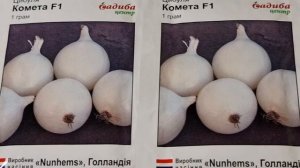 НОВИНКА! Очень крупный лук КОМЕТА, хранится до нового! Красивый как жемчужина.