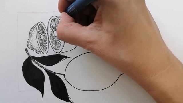 Рисование фруктов. Лимон.