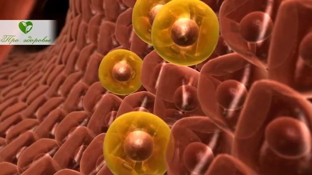 Даже врач удивился, что сыр приносит такую пользу! Сыр приносит сильные изменения, если есть его та смотреть онлайн