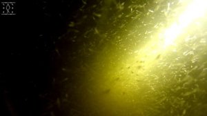 Съемка под водой, Волга 20 метров, малек на дне !?