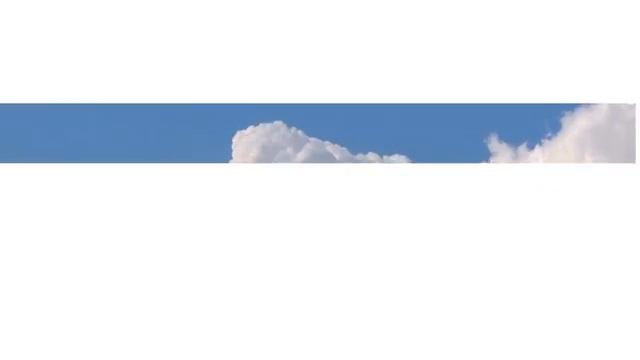 прикол ёжик смотреть онлайн