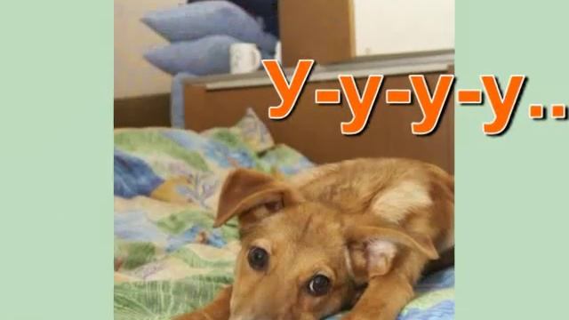 Видео для Логопедических занятий "Щенок" смотреть онлайн