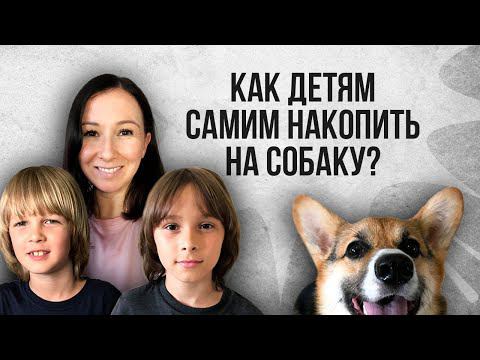 Дети хотят купить собаку? Как научить ребенка обращаться с деньгами и планировать бюджет