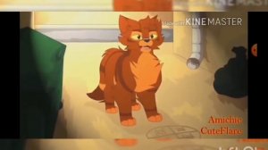 коты воители бич клип