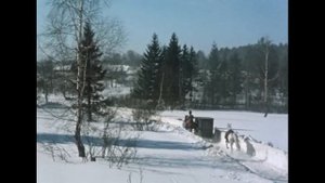 Киноляп в фильме Гусарская баллада