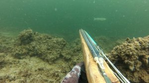 Подводная охота, Крым. Чуть не остался без ружья.