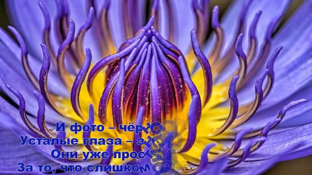 ПОЖЕЛАНИЯ ОТ ДУШИ ... Музыкальная открытка смотреть онлайн