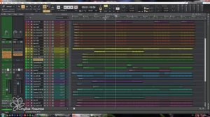 Mr.President - Co Co Jambo (Обзор проекта)