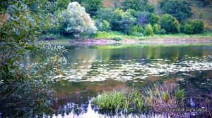 Русский Ваня (Володя Батхёртов)