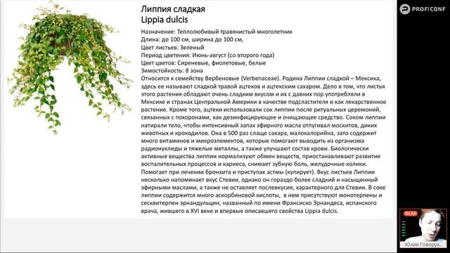 Пряный огород