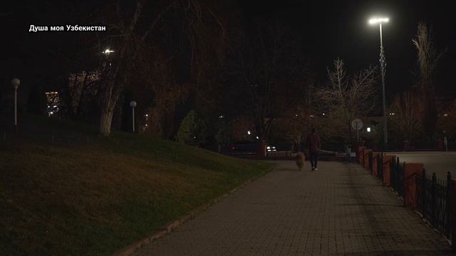ВЫ БУДЕТЕ В ВОСТОРГЕ! Самые Красивые Цветущие Деревья в ТАШКЕНТЕ.