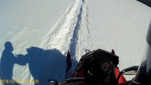 вилли на снегоходе