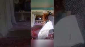 цыганские приколы 2023 ??? #цыганскаясвадьба #цыганскиеприколы