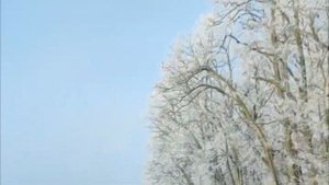 Дорога ДОМОЙ... Исп. Владимир Песня.