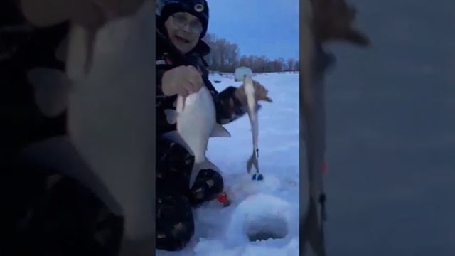 ЗИМНЯЯ РЫБАЛКА . ЛОВЛЮ ЛЕЩА ДУПЛЕТАМИ!!!!