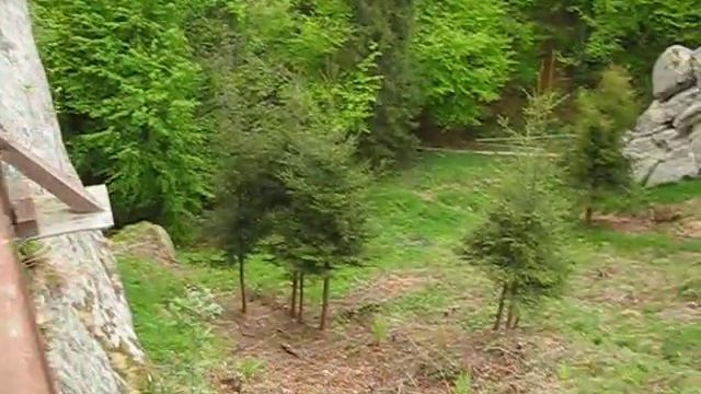 Папен - Супчик из цветной капусты смотреть онлайн