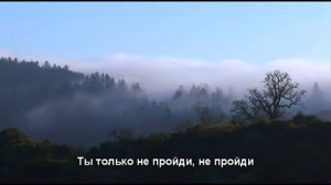 Не пройди - Нина Бродская
