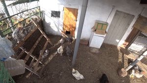 ПЕРЕБРАЛИ КАРТОШКУ? ОБ ЭТОМ Я ВАМ НЕ ГОВОРИЛА? УСТРАНЯЮ ЭТО БЕЗОБРАЗИЕ?
