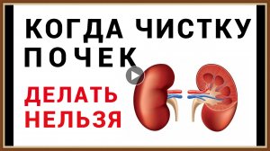 КОГДА ЧИСТКУ ПОЧЕК ДЕЛАТЬ НЕЛЬЗЯ.mp4