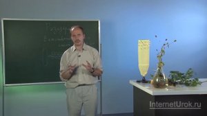 Ткани растений. Видеоурок по биологии 5 класс