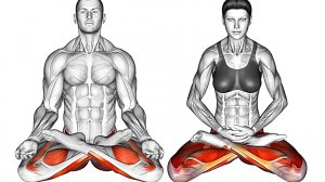 Увеличьте свою Подвижность с помощью Этих Упражнений