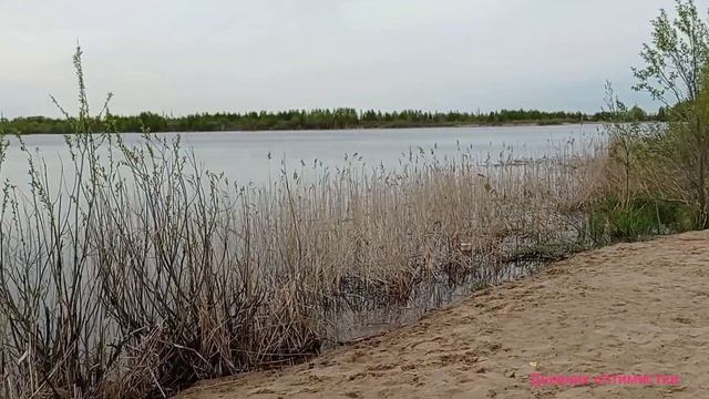 ХВАТИТ СИДЕТЬ ДОМА! ОБНОВЛЕНИЕ ОЗЕРА ПЕРМЯКОВСКОЕ #дневникоптимистки #озеро