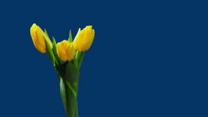 Нежная музыка для души и ЖИЗНИ! Самая Красивая Музыка на Свете! Эту музыку можно слушать вечно