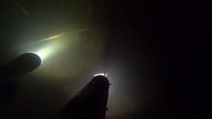 подводная охота на сазана, Маныч, рыбалка, весна 2021. веселовское водохранилище.