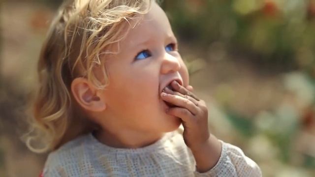 Ферма на 13-ти сотках? Это возможно? смотреть онлайн