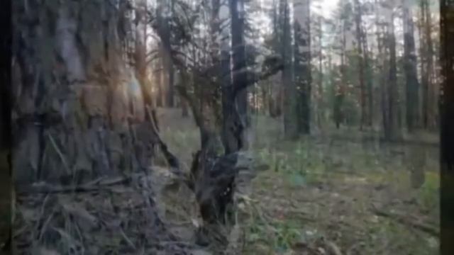 Город Красный Лиман и природа вокруг голубых озёр!! смотреть онлайн