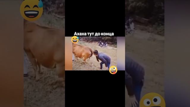 ???понюхал