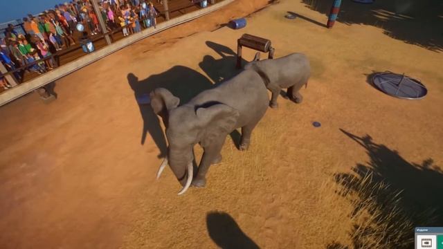 Симулятор ЗООПАРКА #5 Дикие кошки - Лев и гепард. Кид ухаживает за животными: гиена, слон и зебра смотреть онлайн