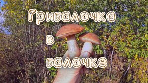 Грибалочка в балочке.