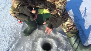 Везучая мормышка! Рыбалка зимой на безмотылку. Зимняя рыбалка 2018.