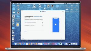 Как перенести данные WhatsApp с iPhone на Android + наоборот, с Android на Android?
